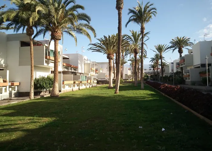 Precioso طوستا ديل سيلونثيو