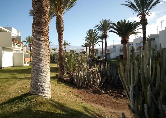 شقة Precioso طوستا ديل سيلونثيو