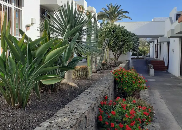 Precioso Apartament *