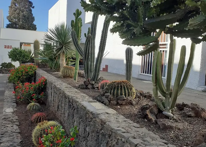 Precioso Apartament Costa Del Silencio